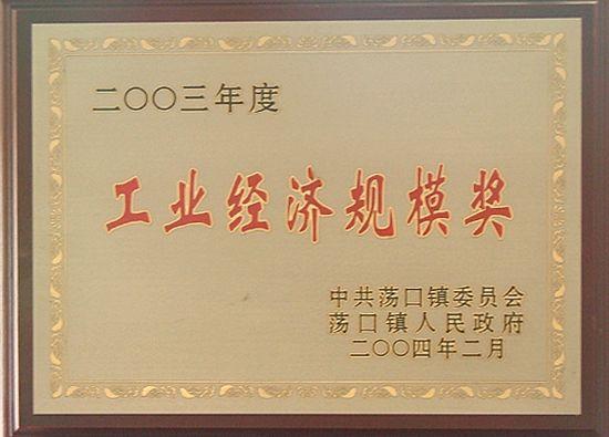 2003年度工业经济规模奖